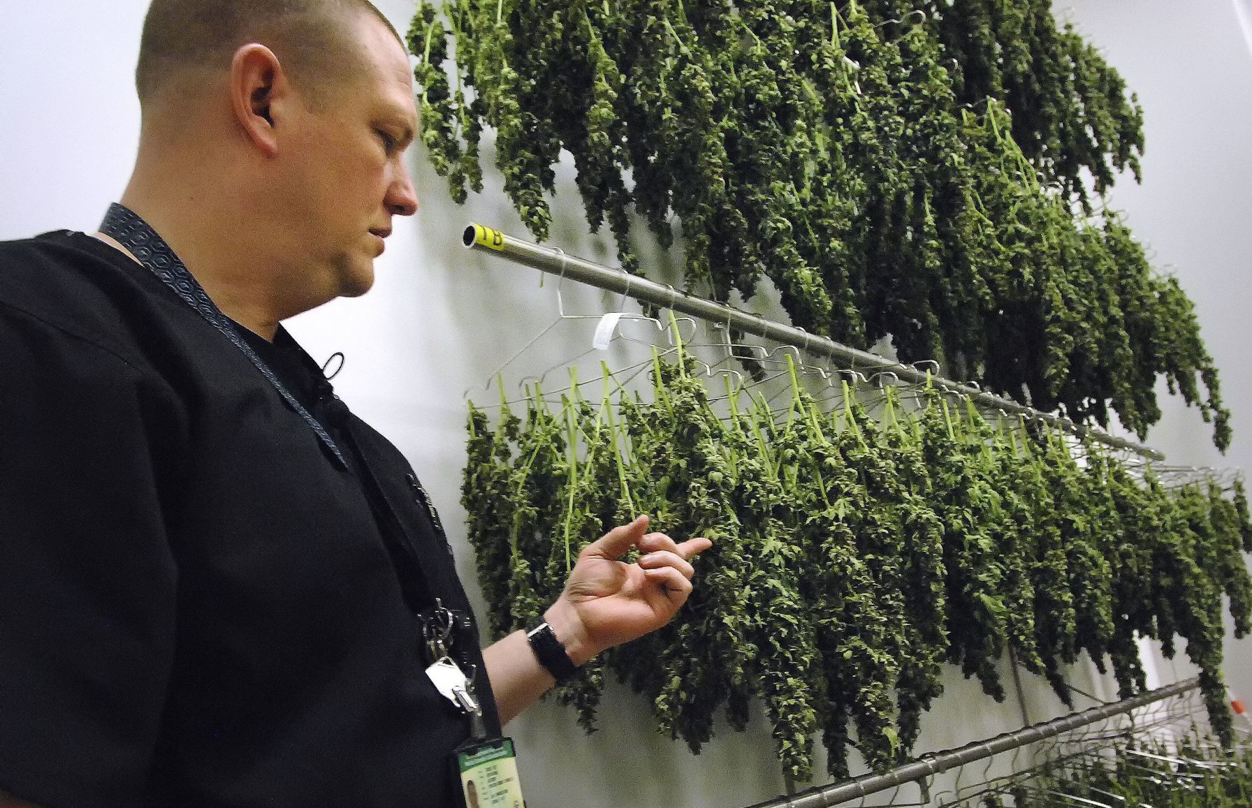 060119-blm-loc-11marijuana